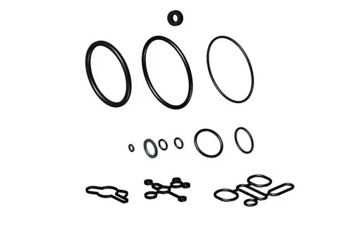Dichtungsring-Set von Grünbeck, bestehend aus verschiedenen O-Ringen und Dichtungen in unterschiedlichen Größen, angeordnet auf hellem Hintergrund.